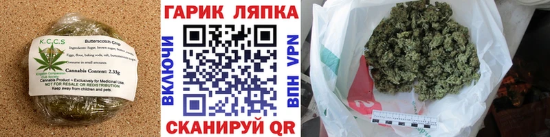 Canna-Cookies марихуана  сайты даркнета как зайти  Чегем 