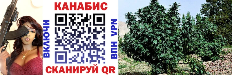 Бошки марихуана White Widow  гидра рабочий сайт  Чегем 